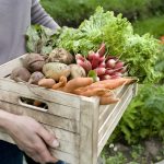 Plastové prepravky s vekom