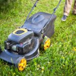 Premýšľate nad investovaním do Vašej záhrady